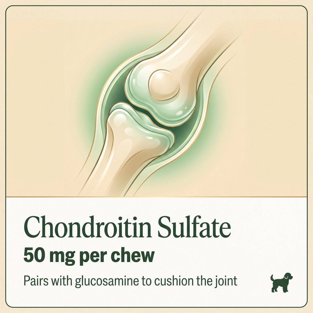 Chondroitin Sulfate, 50mg per chew