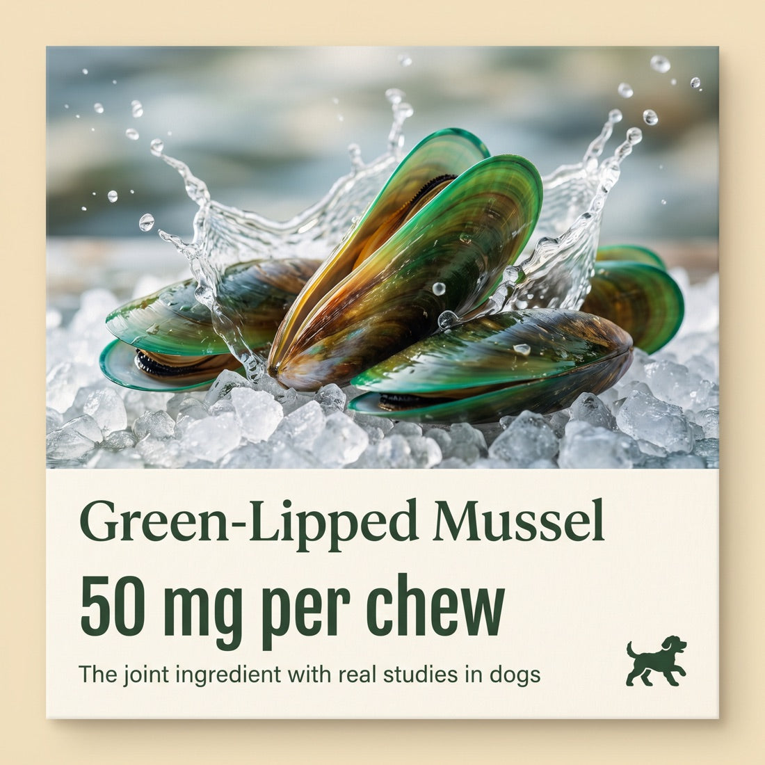 Green-Lipped Mussel, 50mg per chew, studied in dogs