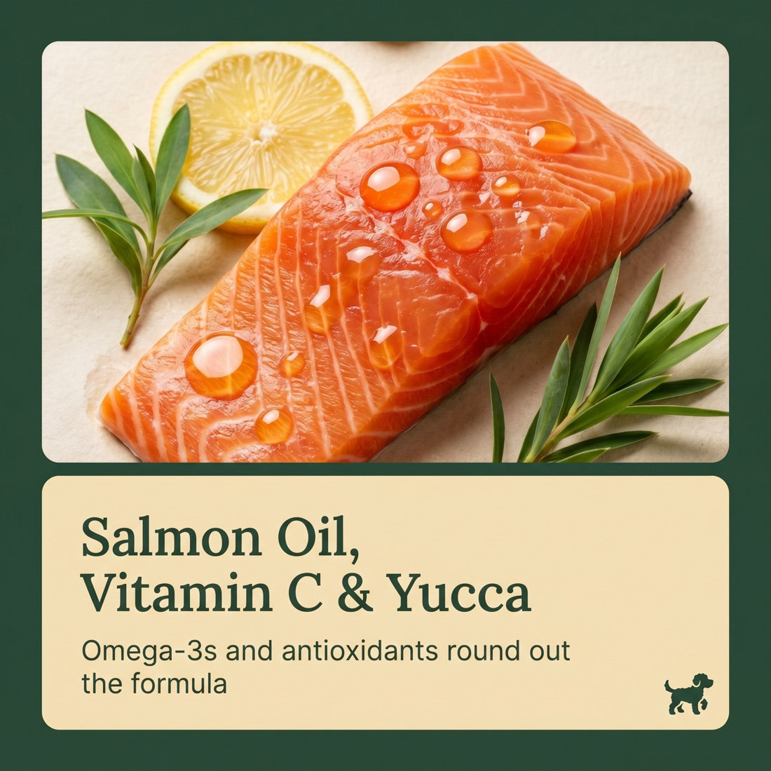 Salmon Oil, Vitamin C and Yucca