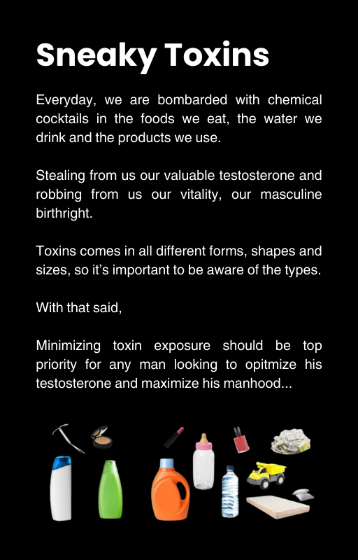 Optimum Lifestyle Guide