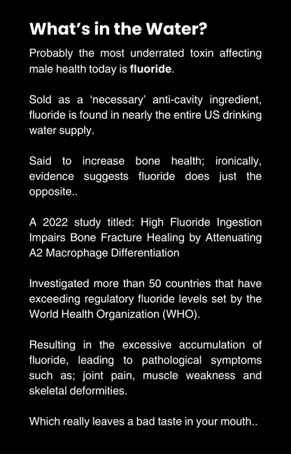 Optimum Lifestyle Guide