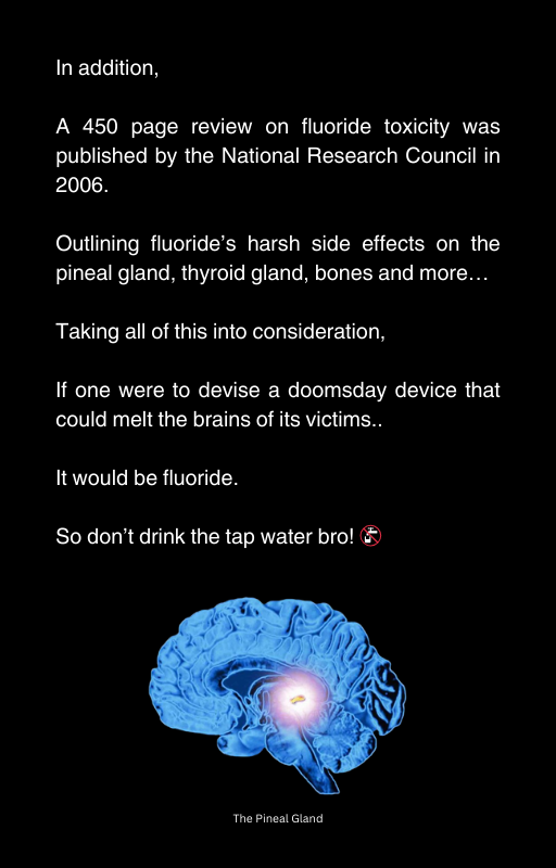 Optimum Lifestyle Guide