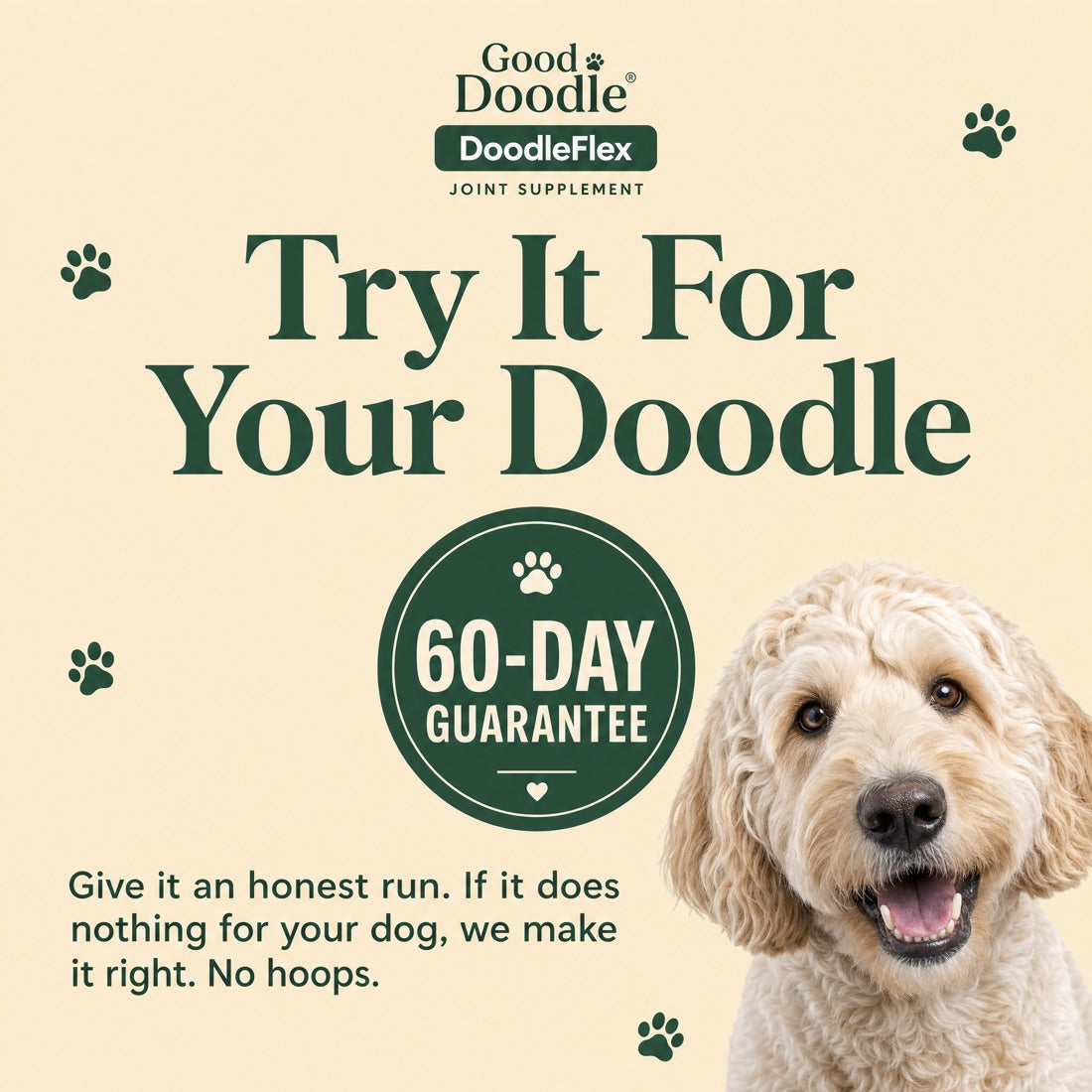 60-day guarantee