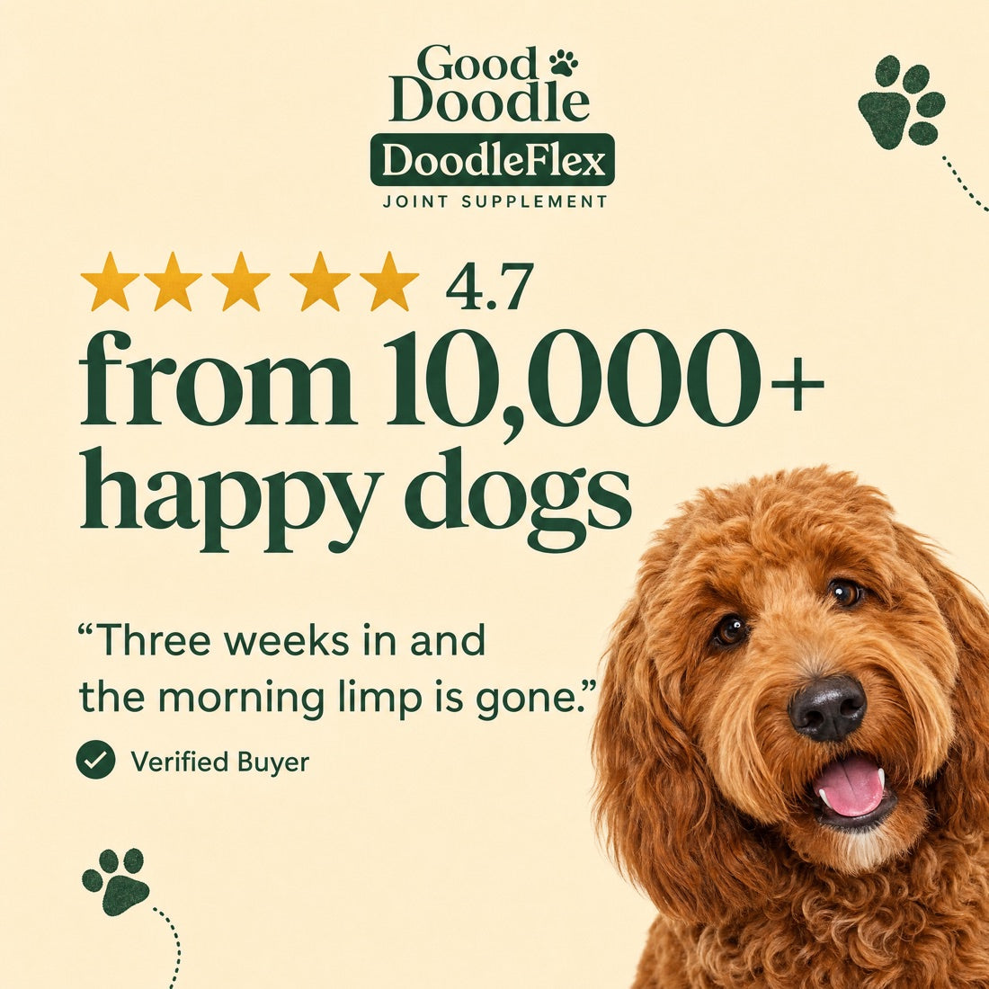 4.7 from 10,000+ happy dogs