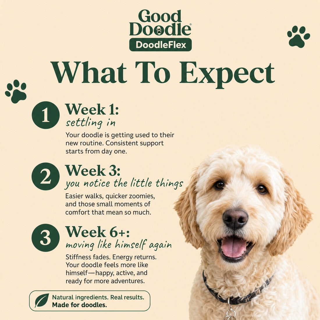 What to expect