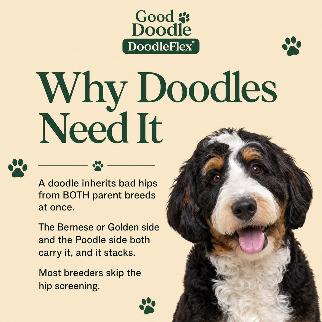 Why doodles need it