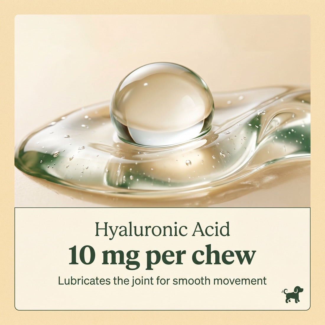 Hyaluronic Acid, 10mg per chew, joint lubrication