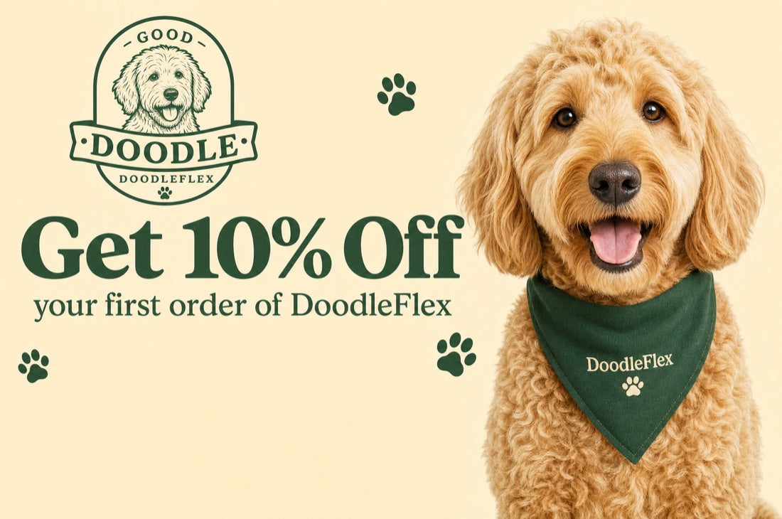 Get 10% off your first order