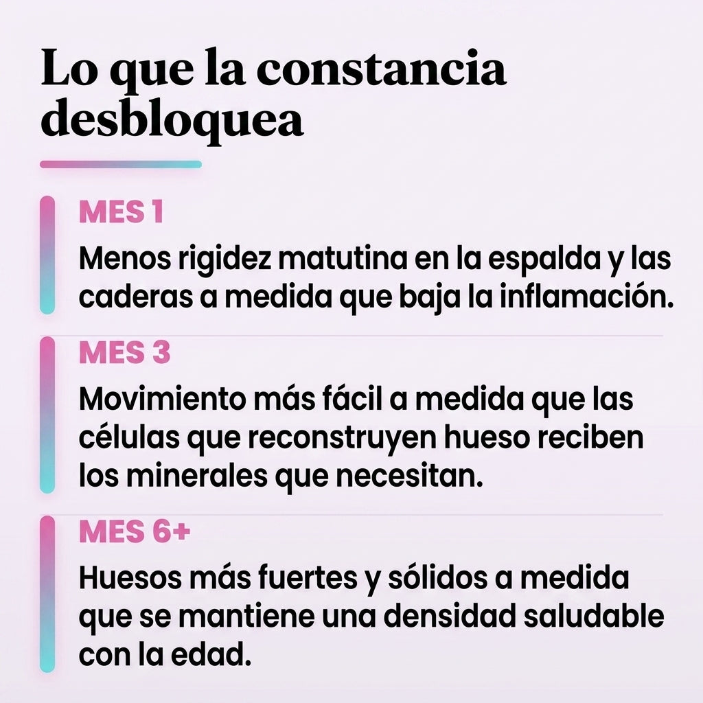 Qué esperar mes a mes