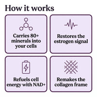 How Optimum works, carries 80+ minerals into your cells, restores the estrogen signal, refuels cell energy with NAD+, remakes the collagen frame
