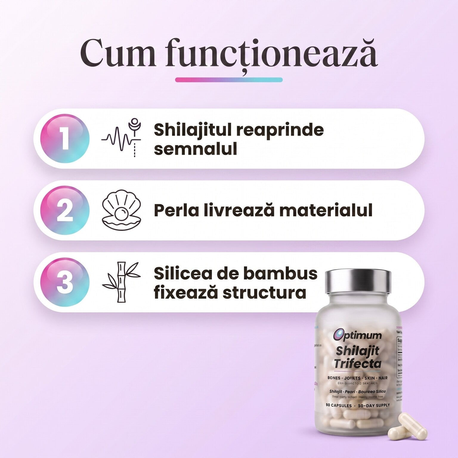 Cum funcționează Bone Restore Trifecta, 3 ingrediente 3 sarcini