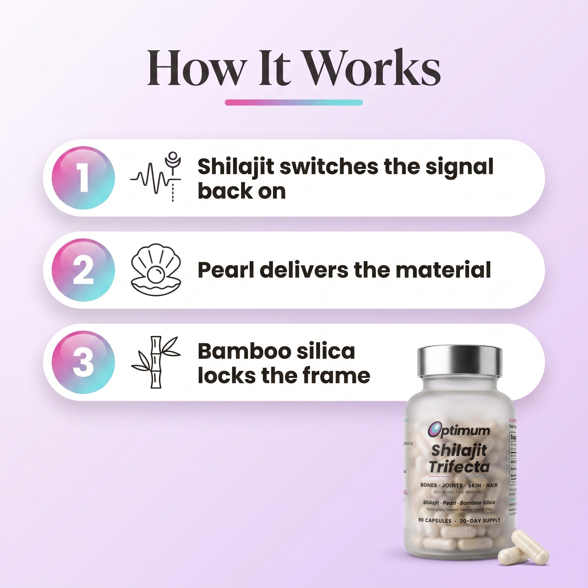 How the Bone Restore Trifecta works, 3 ingredients 3 jobs