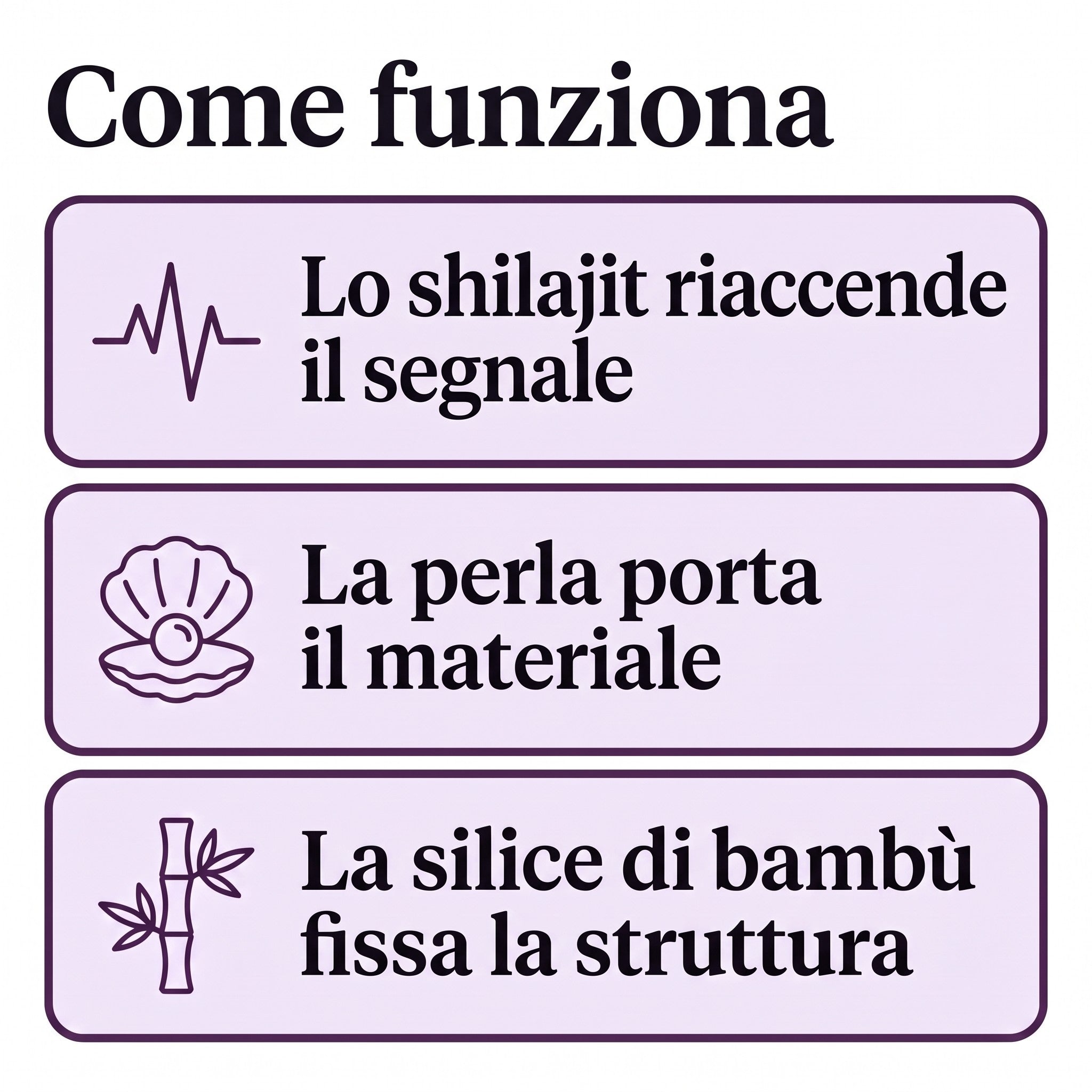 Come funziona, lo shilajit riaccende il segnale, la perla porta il materiale, la silice di bambù fissa la struttura