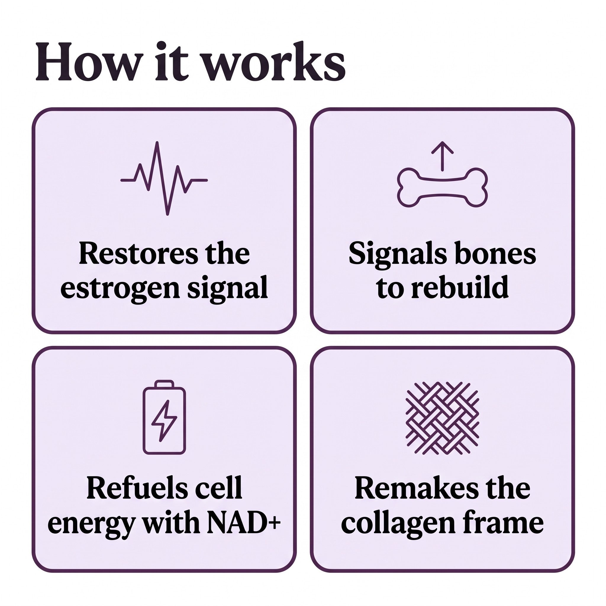 How Optimum works, restores the estrogen signal, signals bones to rebuild, refuels cell energy with NAD+, remakes the collagen frame