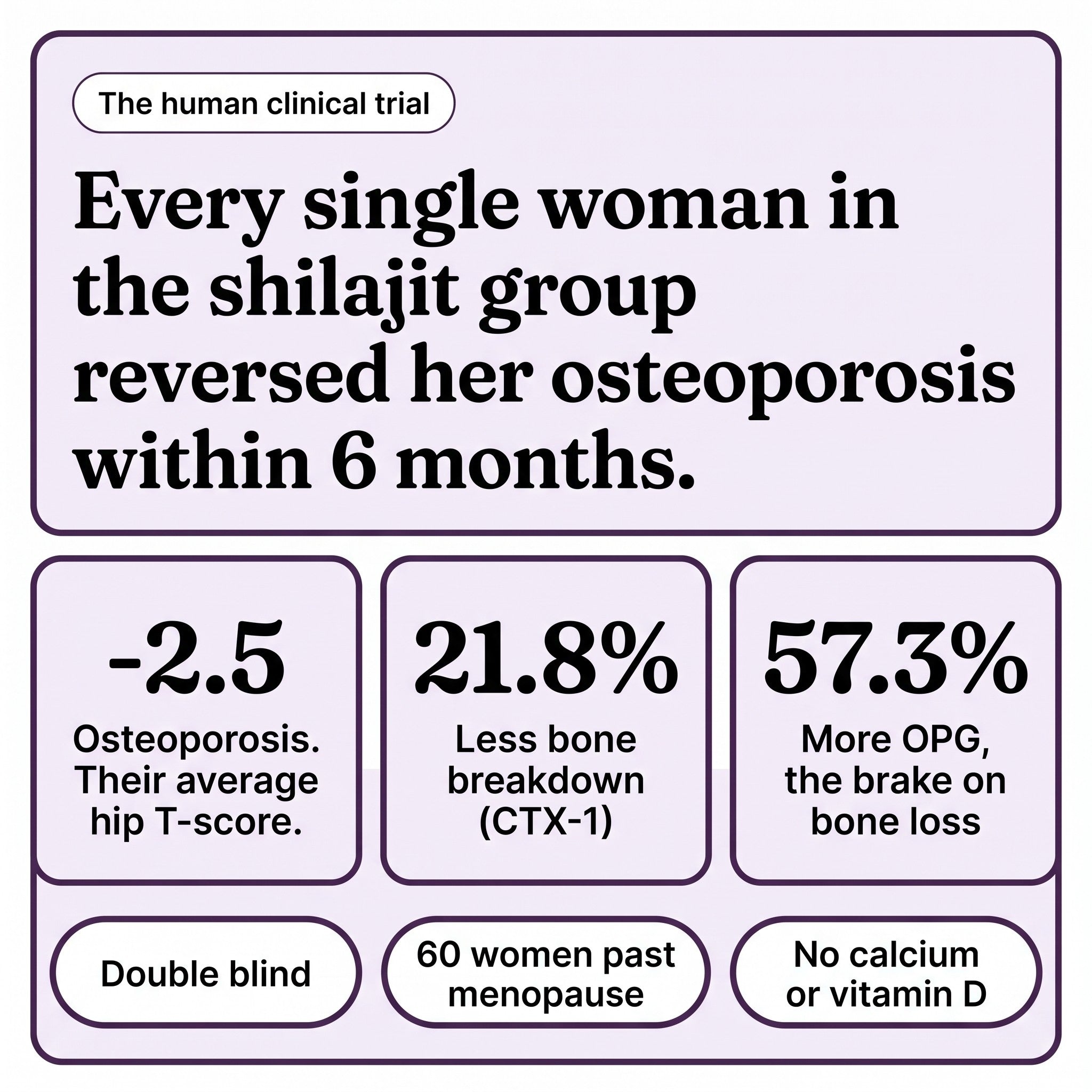 The human clinical trial, every single woman in the shilajit group reversed her osteoporosis within 6 months
