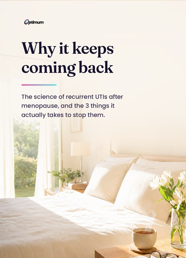 Why It Keeps Coming Back e-book cover
