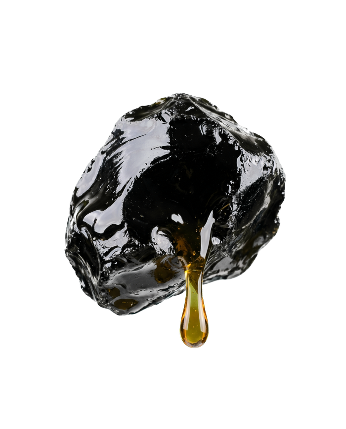 Pure Altai shilajit resin