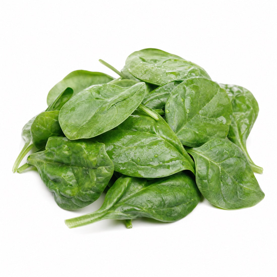 Fresh raw spinach leaves